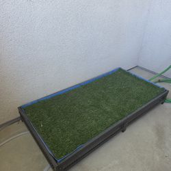 Doggy Patio Potty