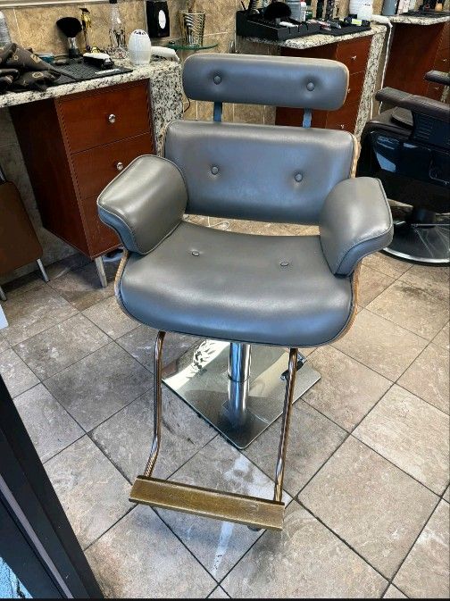 Salon Chairs