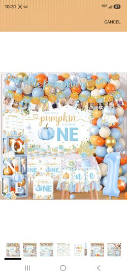 Birthday Decorations Kit $15