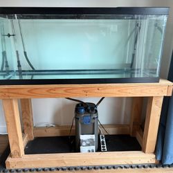 75 Gallon Aquarium, Stand, And Oase Canister Filter