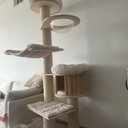 Cat Tree