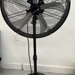 20 Inch Fan