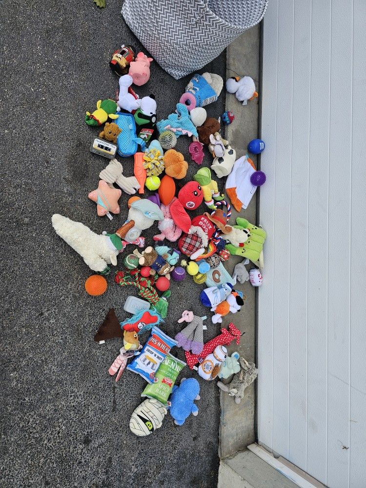 Dog Toy Lot