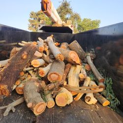 Free Firewood  Mulch  Woodchipe