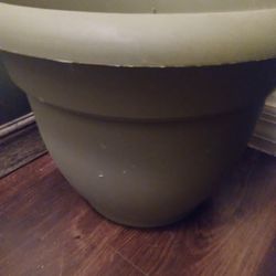 Green Pot for Plant