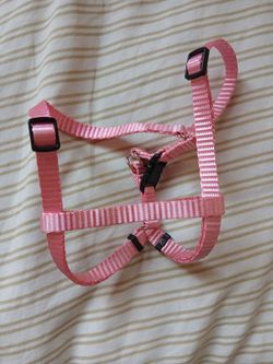 Small Dog Harness 🐕 🎀