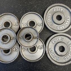 Olympic Weights 100lbs. Used. 