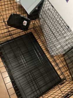 Large Dog Cage