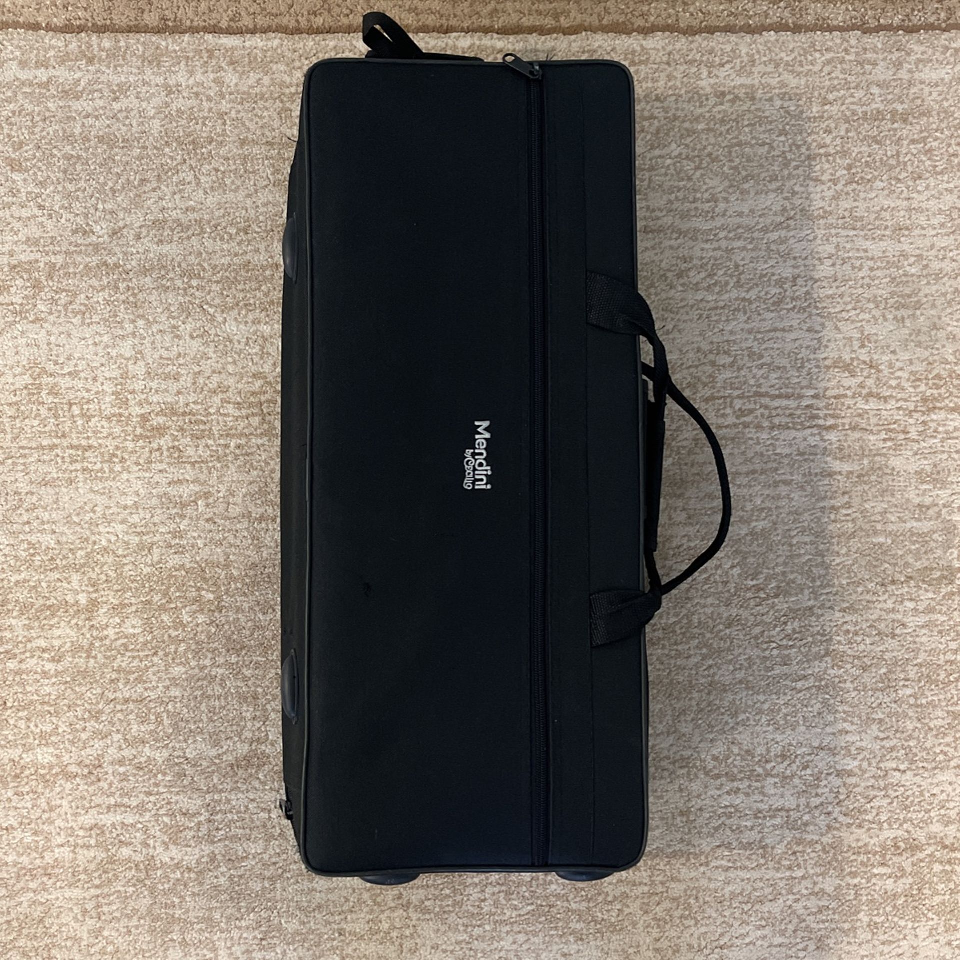 Saxophone case
