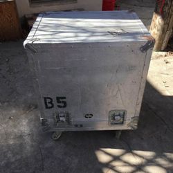 Bass Cabinet ATA Flight Case