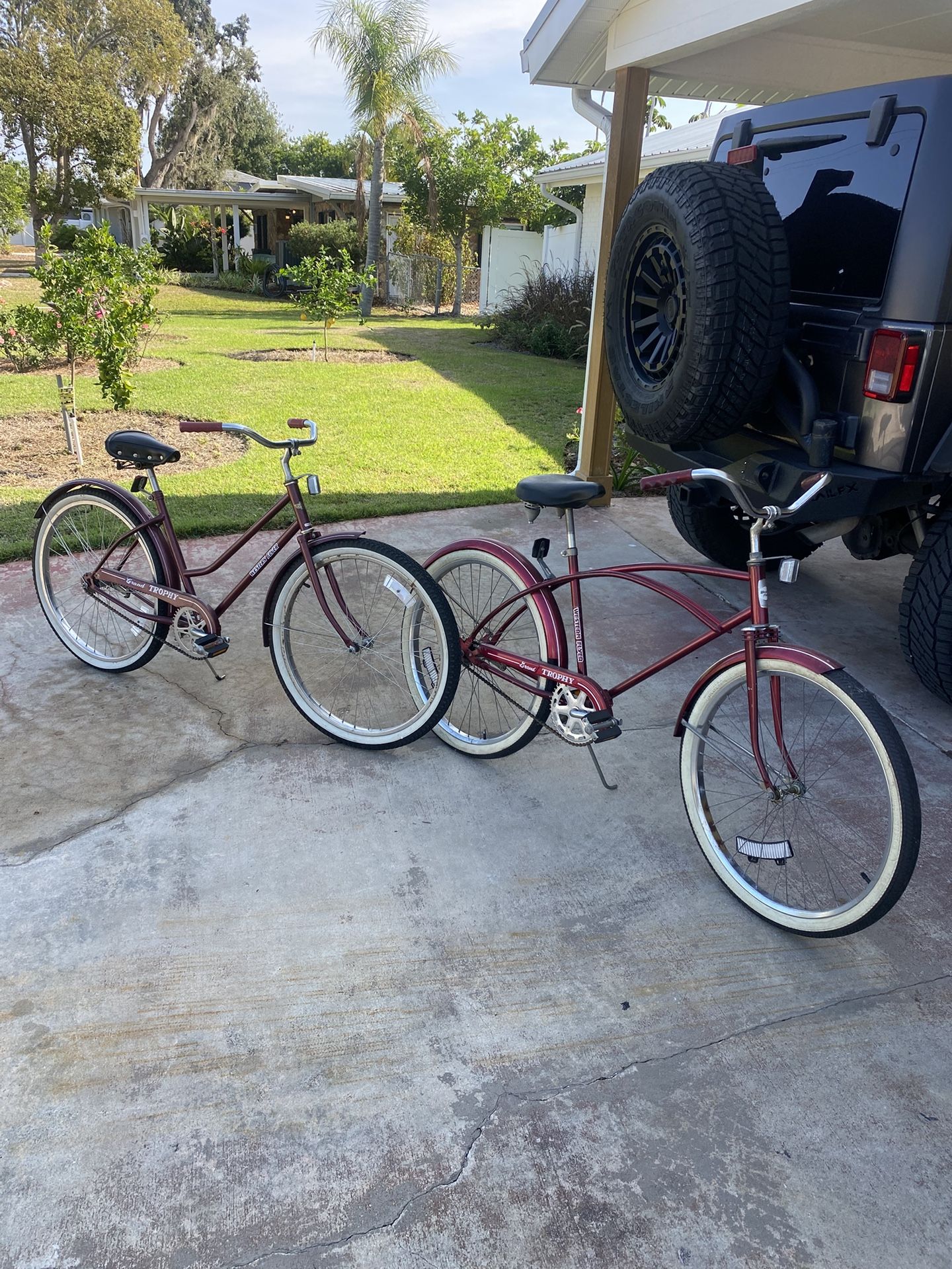 Vintage Western Flyer Bicycles 