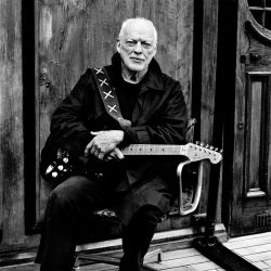 David Gilmour Concert Ticket 11/10/24 Sec 119 Row 6 Seat 1-4