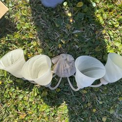 Vanity Beach Motif Light Shell