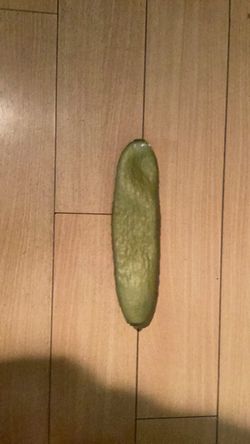 Squishy pickle