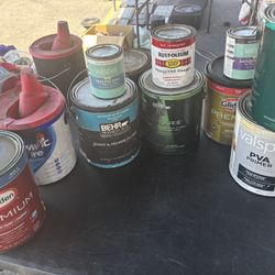 Paint 1 Gallon