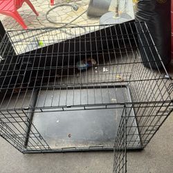 Dog Crate 42 L X 28 W X 32 H