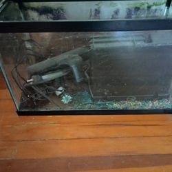 10 Gallon Fish Tank Full Set Up, And 55 Gallon Large Tank 
