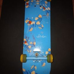 Skateboard 