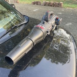 Black Max Leaf Blower