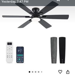 celing fan with
light