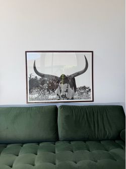 Oversized Black & White Longhorn Photography Print