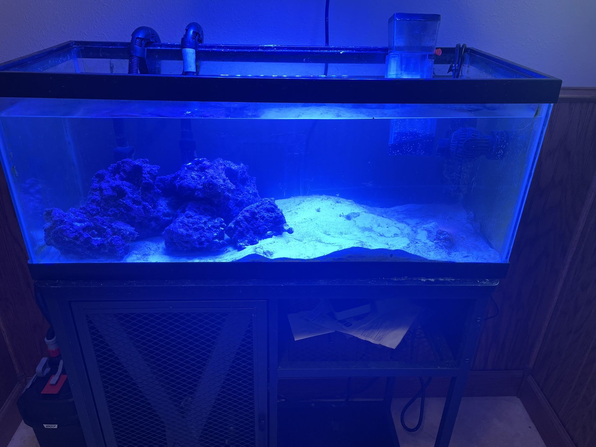 20 Gallon Long Reef Saltwater Or Freshwater Tank Aquarium W/ Live Rock, Protein Skimmer, Canister Filter, Sand/water, Stand