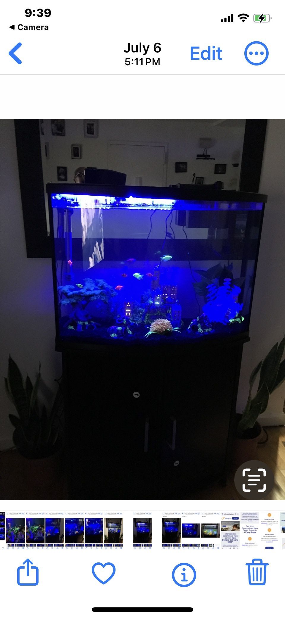 45 Gallon Oval Fish Tank W/ Stand