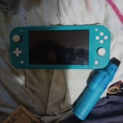Switch Lite