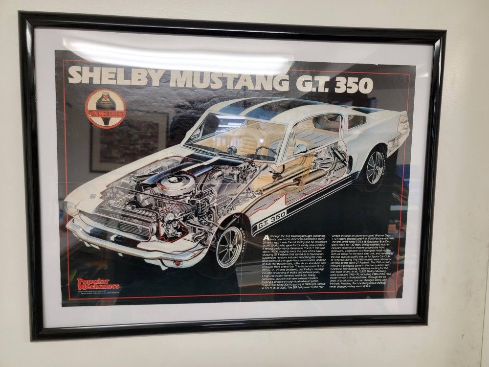 Framed Original 1989 Ford Mustang Shelby GT 350 Sales Brochure Poster 89