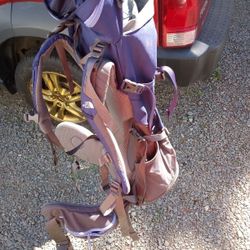 North face Terra 40 Hiking Backpack