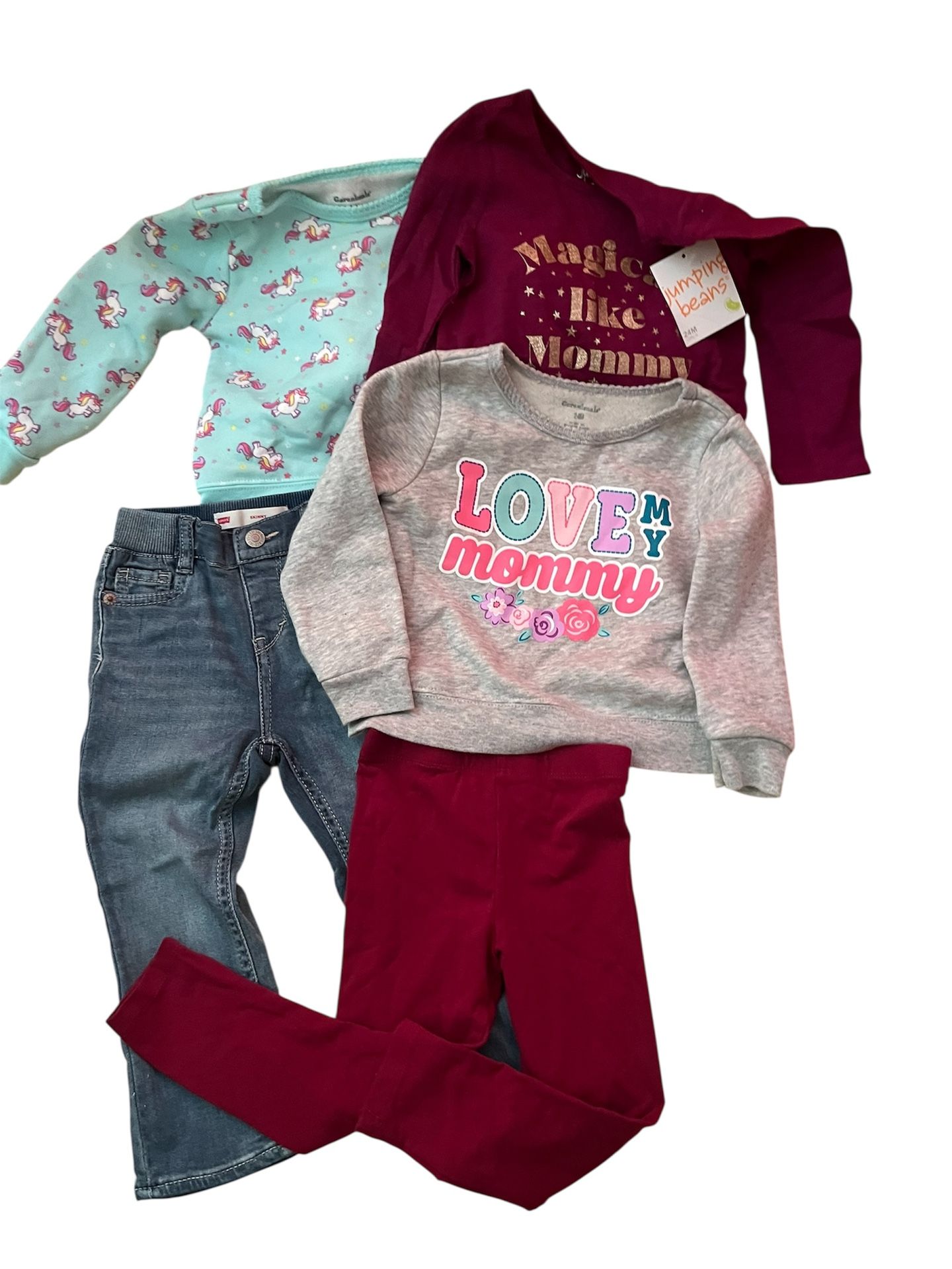 Girls 24 Month Variety Brands Fashion Bundle