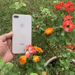 iPhone 8 Plus 256GB Comes With A FREE MONTH of Cricket Service, Unlimited Data and 15GB LTE WiFi Hotspot