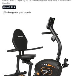 Recumbent Exercise Bike