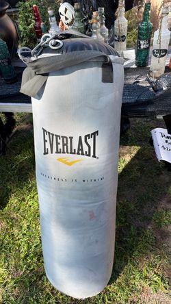 Everlast punching bag
