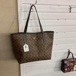 Green And Brown Coach 