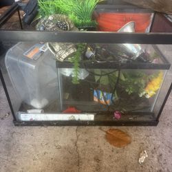 Fish Tanks 