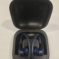 Blue Apple Powerbeats Pro - Read Description