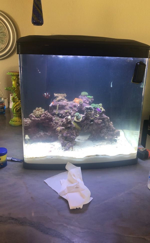 biocube 32 gallon saltwater tank for Sale in Fort Lauderdale, FL OfferUp