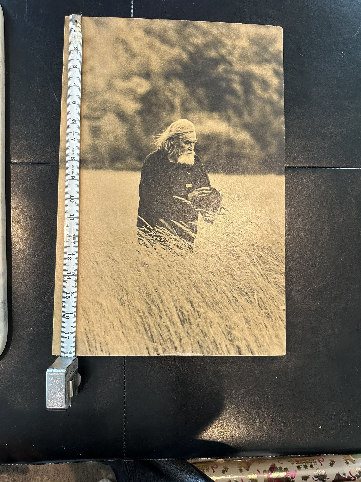 Original 1960's Studio One - Joe Covello Photography Print #353 - Old Man in Field - 18" x 12"