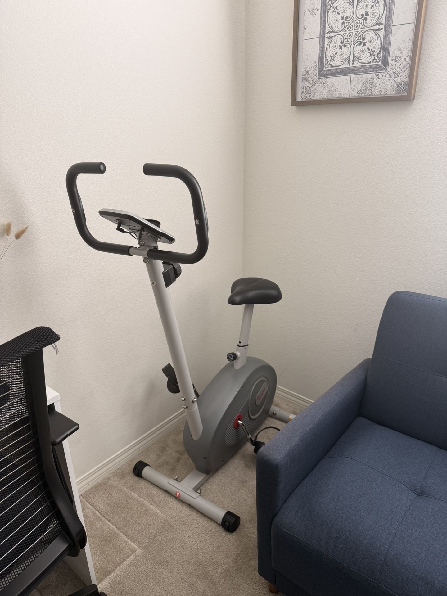 Sunny Stationary Exercise Bike