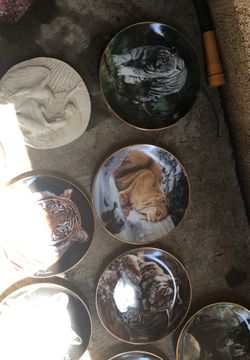 Platos de porcelana hermosos