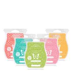 Scentsy 2024 Summer Wax Melts Collection 