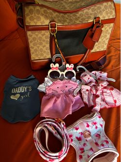Authentic Coach pet carrier with Girl puppy clothes and top paw leash and harness