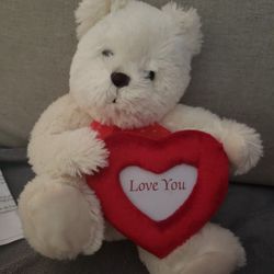Cute Recordable Valentine's Bear (NEW)