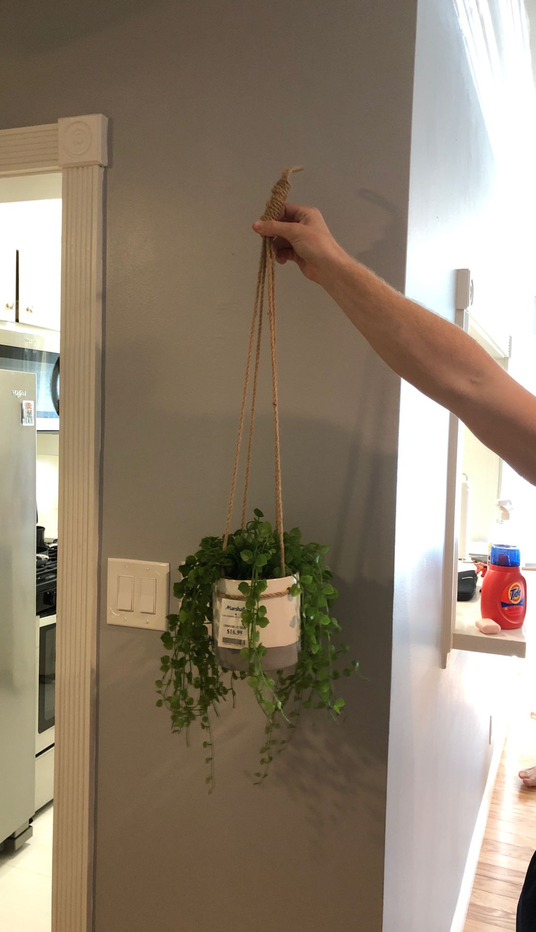 Fake hanging plant