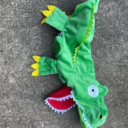 Dog costume