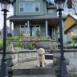 Garage Sale - Snohomish 7/12 & 7/13