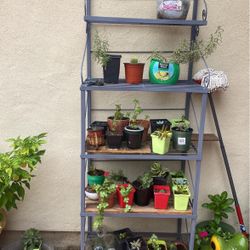 Estructura   $60.00No Incluye  Las Plantas