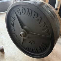 Ivanko Olympic Weights 45’s