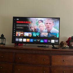 Vizio 40 Inch Television 